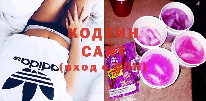 где купить наркотик  Раменское  Codein Purple Drank 