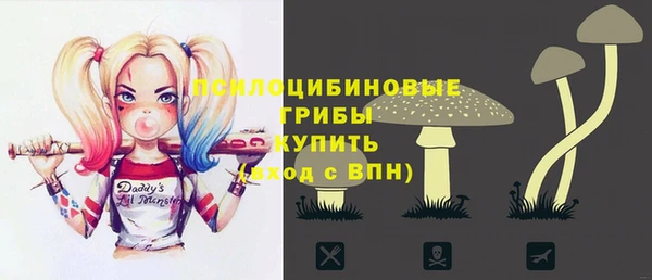 дурь Михайловск
