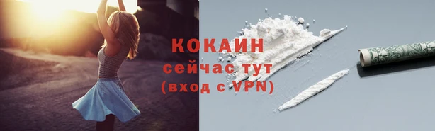 дурь Михайловск
