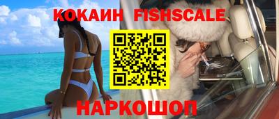 спиды Камышлов