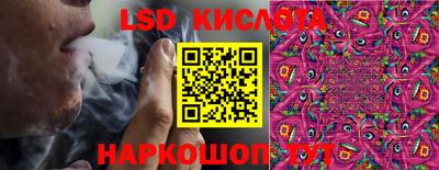 спиды Камышлов