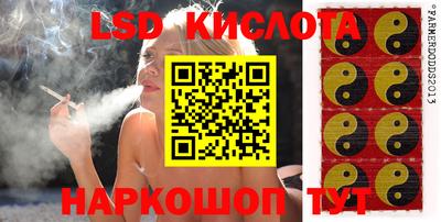 индика Бийск