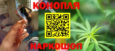 индика Бийск