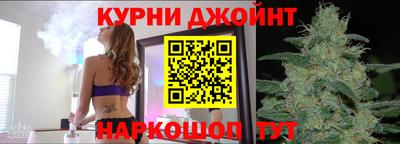 индика Бийск