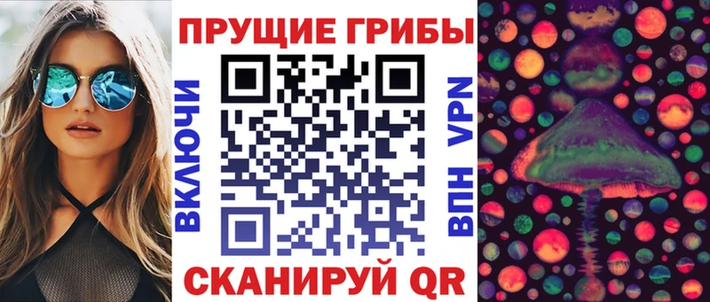 Псилоцибиновые грибы GOLDEN TEACHER  что такое наркотик  нарко площадка какой сайт  Раменское 