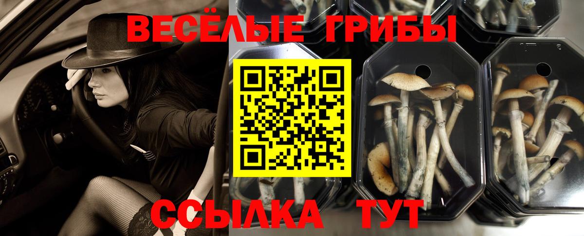 Псилоцибиновые грибы MAGIC MUSHROOMS Раменское